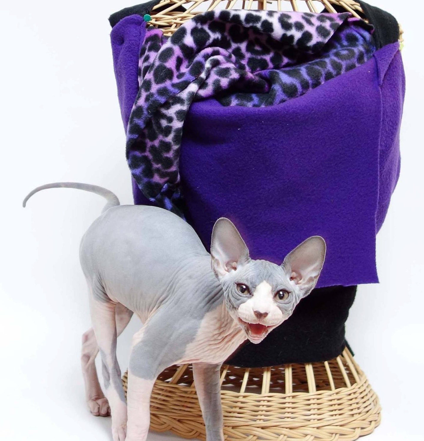 cat sling carrier