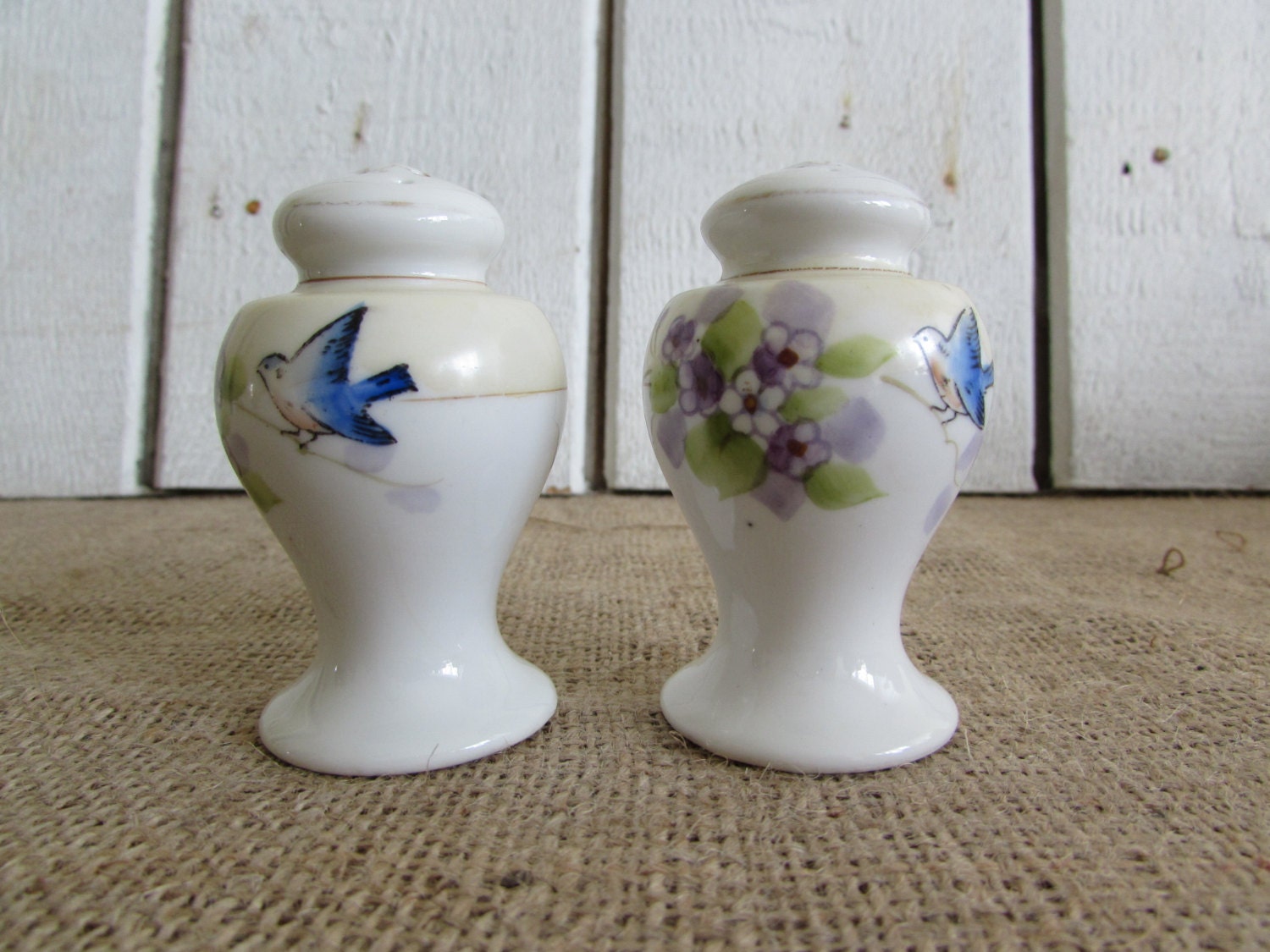 Salt and Pepper Shakers Hand Painted Made in Japan Vintage