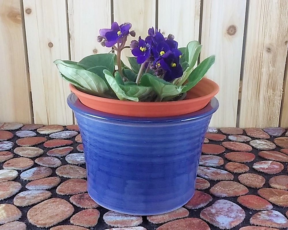 African violet planters African violet pots African violet