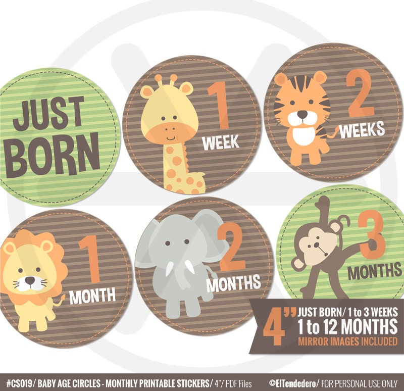 Safari Baby monthly stickers Printable month milestone