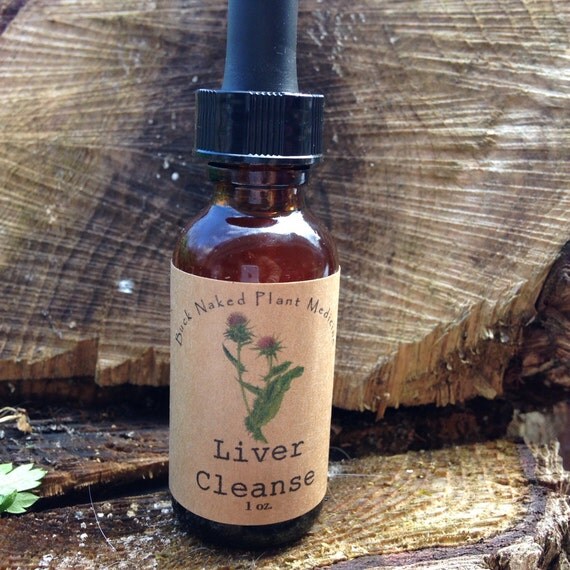Liver Detox Tincture liver cleanse tincture by bucknakedplantmed on etsy Liver Detox Tincture liver cleanse tincture by bucknakedplantmed on etsy