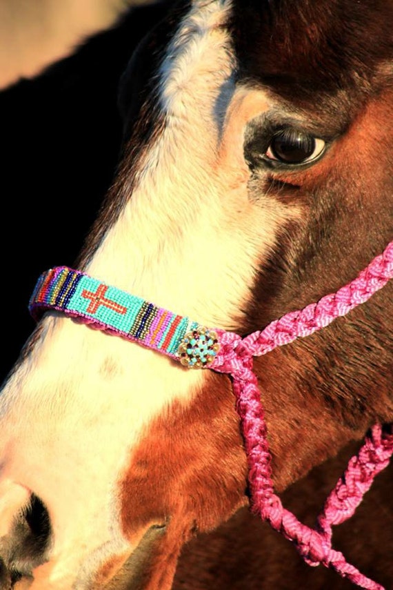 Custom mule tape hand beaded horse halter great OOAK for