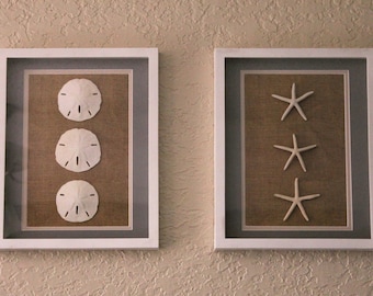 Shadow Box Wall Art legend of the sand dollar shadow box wall art 12x15 beach Shadow Box Wall Art legend of the sand dollar shadow box wall art 12x15 beach