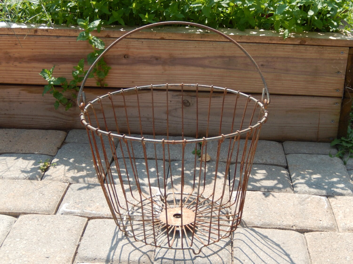 Vintage Metal Wire Egg Basket Large Handled Gathering Fruit
