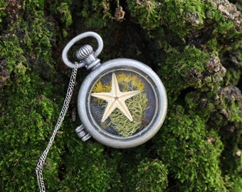 locket necklace, shell necklace, sea star, moss, dried flowers, charms, necklace, sea glass
