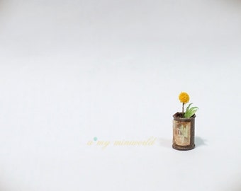 Billy button(Craspedia) flower in can
