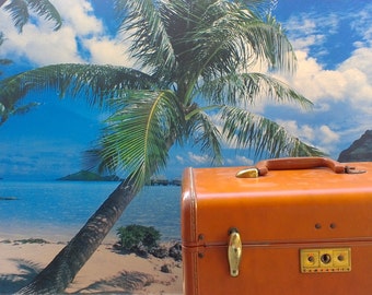 Vintage Travel Case