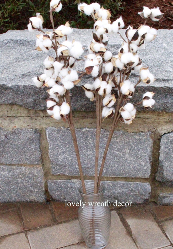 3 Cotton branches ,Cotton boll stalks ,Faux Cotton bolls , Cotton boll stem, Country Rustic bolls stems , Cotton sprays