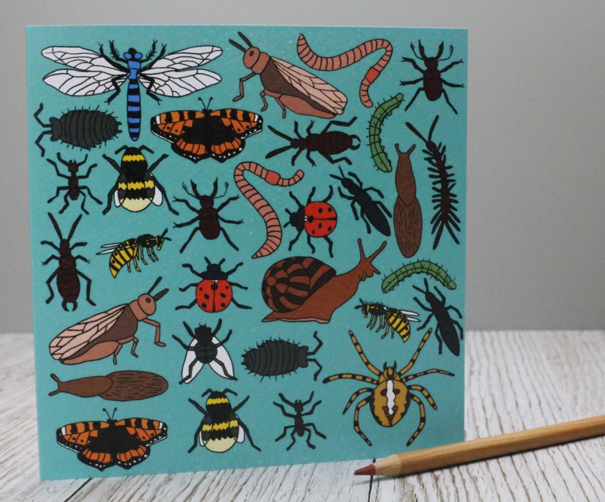 Bugs Birthday card Blank card Beetles Butterfly Ladybird