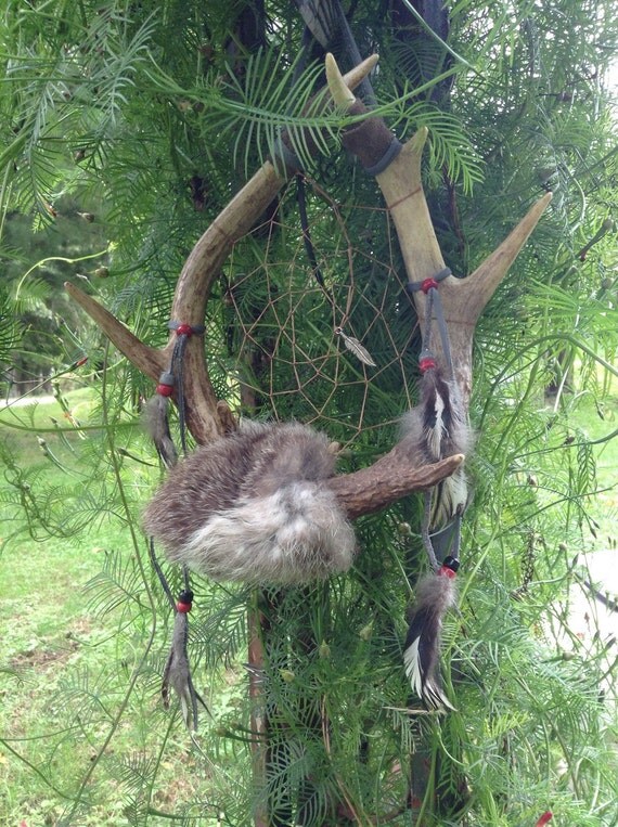 Deer antler dream catcher rabbit fur rooster by CydsCreations
