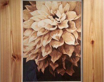 Woodburn art The Flower, Burning on paper, Pyrography, Chrysanthemum, unique framed wall art