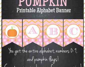 Little Pumpkin Banner Pink, Orange, Glitter Gold Chevron - Printable Alphabet - Instant Download