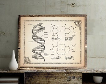 Ancient Style DNA with Chemical structure Poster, science art print, wall decor, 8 x 10 in, 11 x 14 in