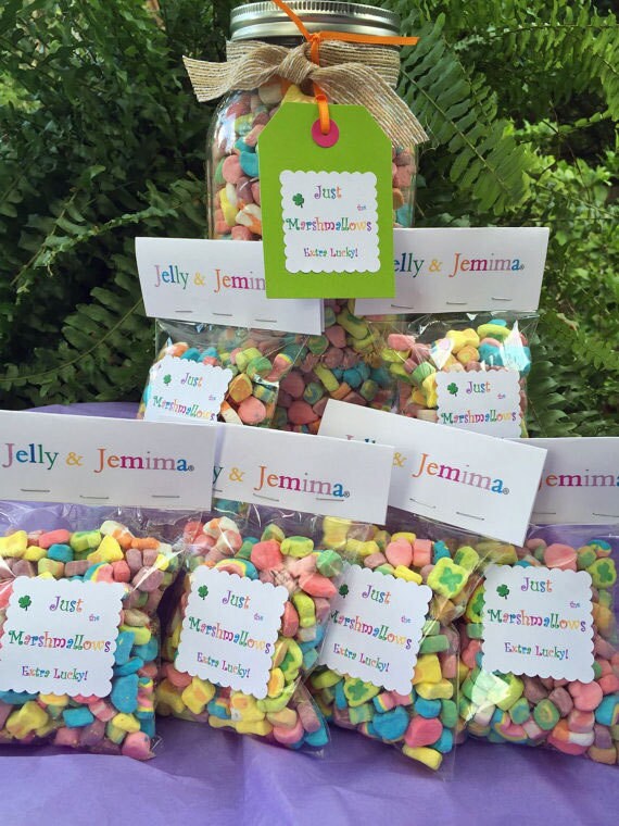 Marshmallow Lucky Charms® Extra Lucky Party Favors Gift