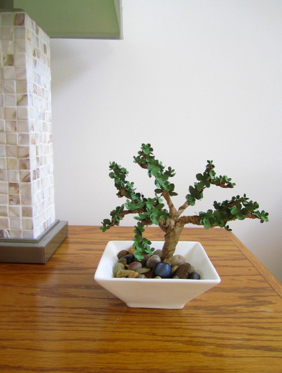 Bonsai information picture