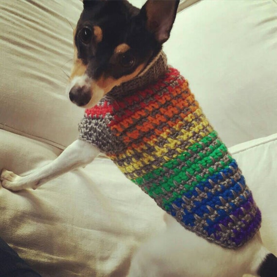 Rainbow Dog Sweater Crochet Dog Sweater Dog by KadieCrochets