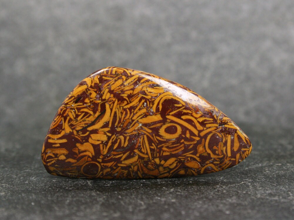 Script Jasper Designer Cabochon/Coquina Jasper/Print Stone/Elephant