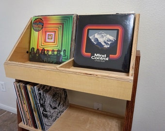 Fully Customizable Vinyl Record Display and Storage Stand
