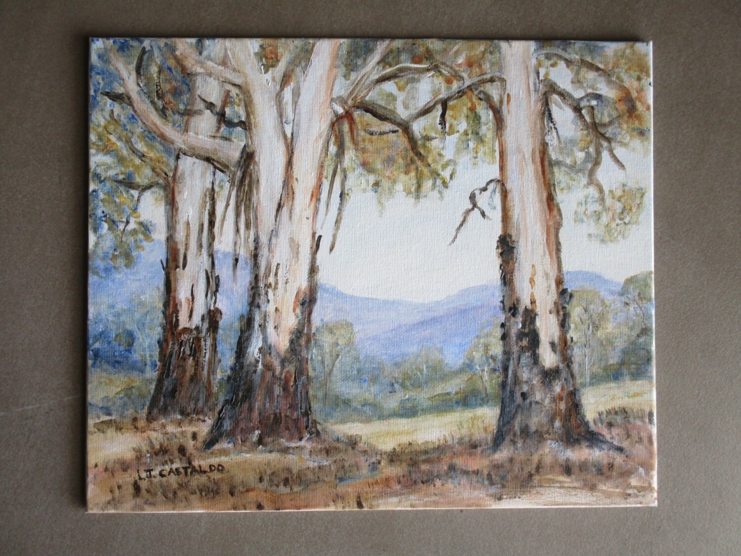 Australian Gum tree painting Australian High Country
