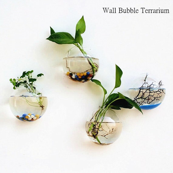 Set of 4 empty glass wall bubble terrariums// indoor wall