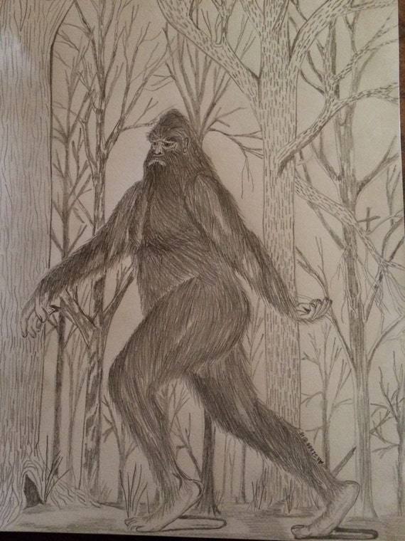 Bigfoot Sketch from Arkansas Registered Artist by gibbswholesale