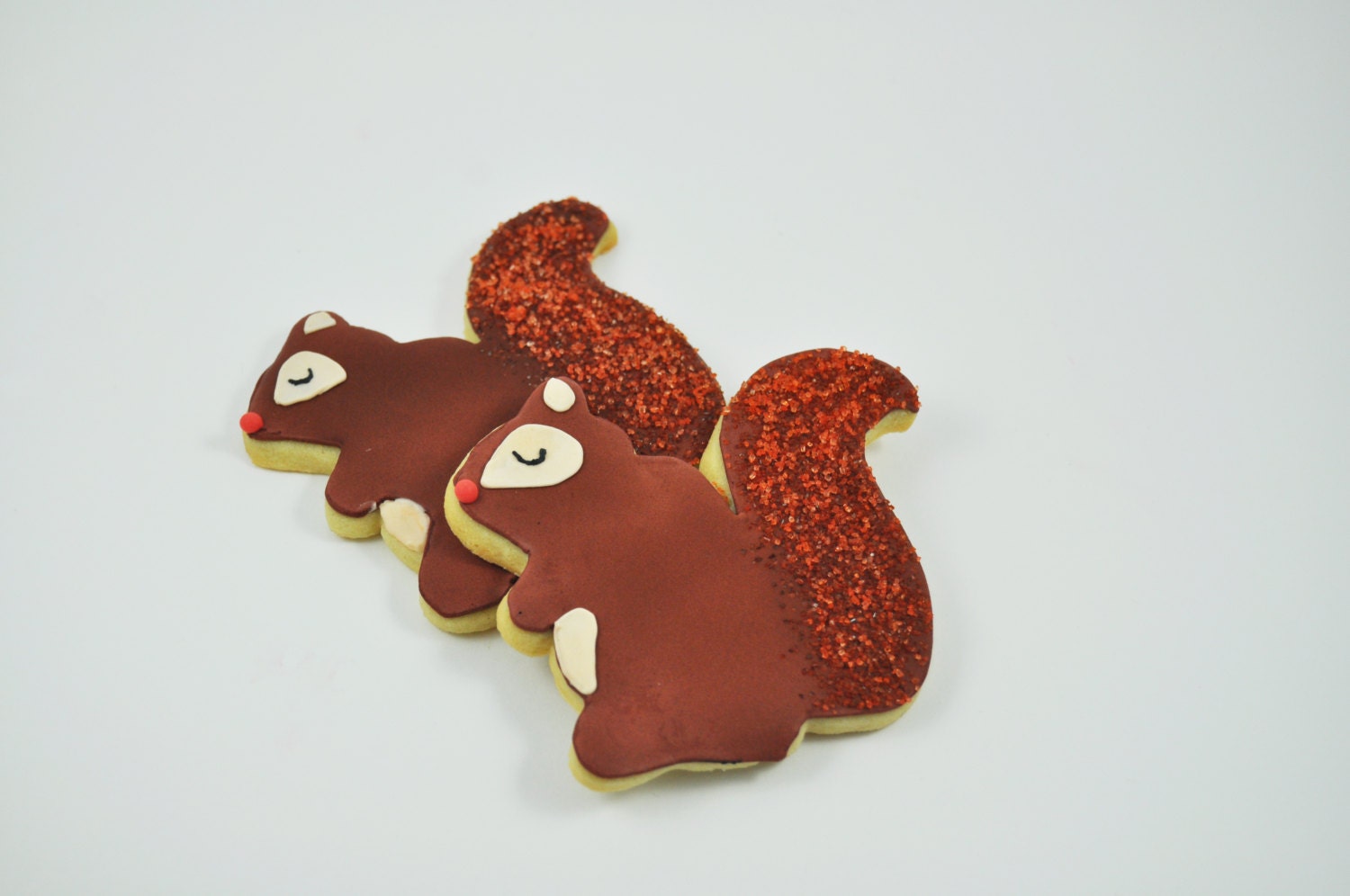 Squirrels Autumn Cookies Decorated Iced Sugar Cookies