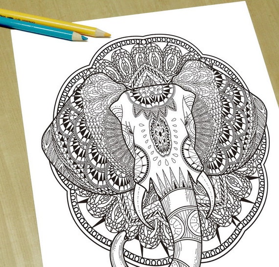 Download Gorgeous Elephant head Adult Coloring Page Print