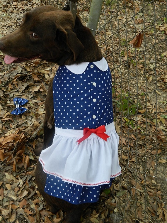 Dog dress Lucy Dog dress I Love Lucy Dog costume