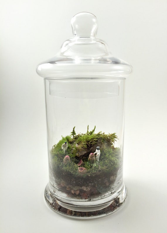 Sci Fi Moss Terrarium // Alien // Xenomorph // Hazmat