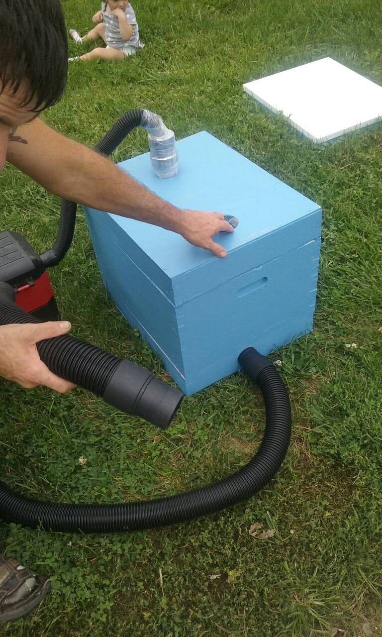 Bee vacuum Do it yourself safely