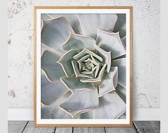 Cactus Print, Succulent Print, Botanical Art, Cactus Art, Modern Wall Decor, Geometric Art, Cactus Poster, Cactus Photography, Cacti, 112c