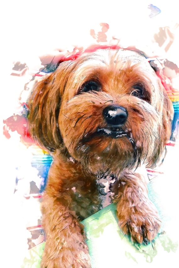 Custom Pet Watercolor Print by PetPrintDesigns on Etsy