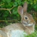 MaryAnn