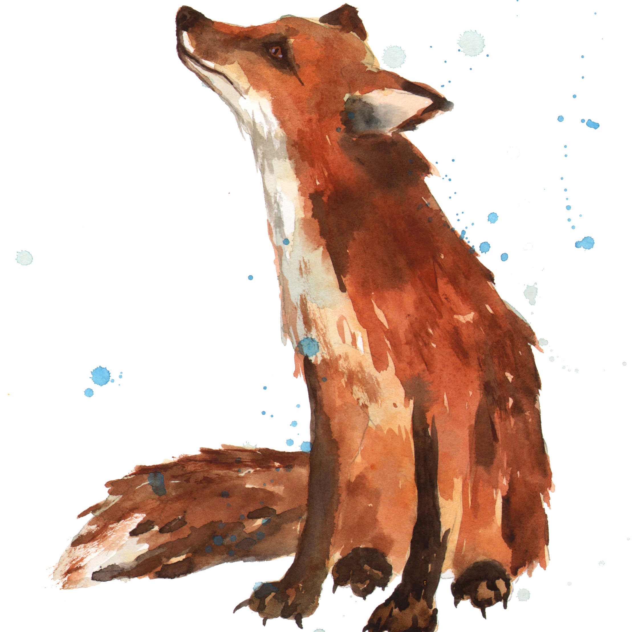 Easy Watercolor Ideas Animals / Expand Your Knowledge With Watercolor