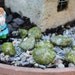Miniature moss covered rocks-Faux moss rocks-Faux rocks-small