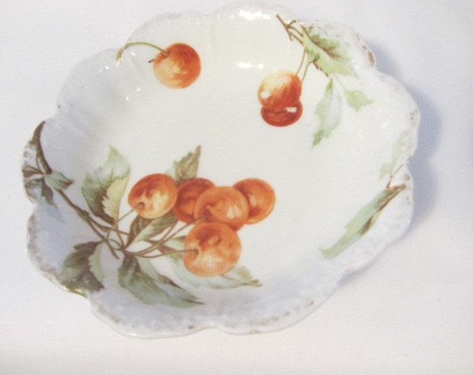 Rosenthal Malmaison Vintage Bavarian China Hand Painted Cherries Bowl, 6" Serving Bowl, by C.W. BLAKELY