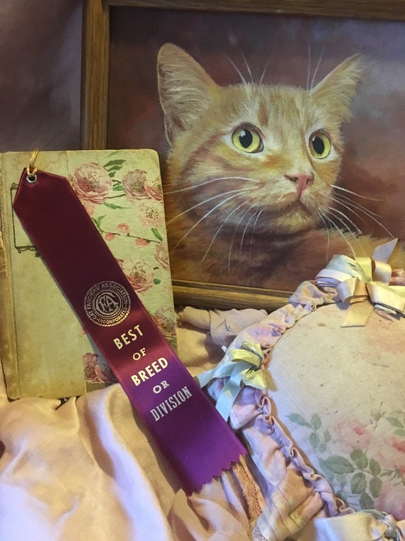 Vintage CFA CAT Show Satin Ribbon Rosette Award Best of Breed