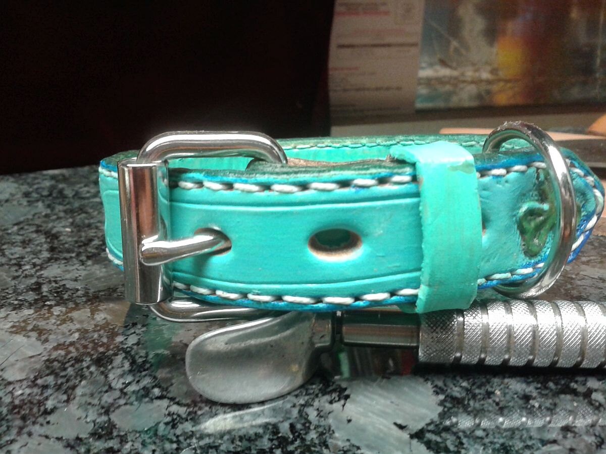 Shamrock collar leather dog collars turquoise collar Irish