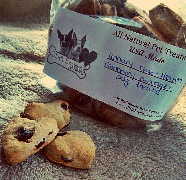 Healthy Benefits Cranberry Orange Dog Treats Urinary Tract