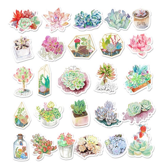 Succulent stickers 26 pcs planner stickers Erin by Dokkipaper