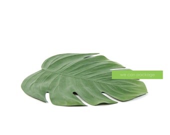 Artificial Tropical Leaf Placemat - 18" by 16.5"