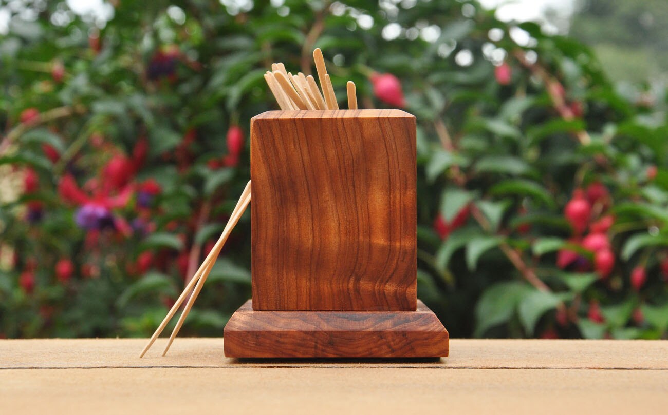 Burl Wood Toothpick Holder unique Christmas gift for