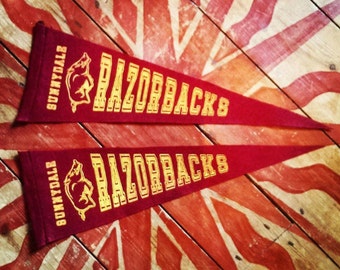 Sunnydale Razorbacks - Buffy The Vampire Slayer - Pennant - Flag