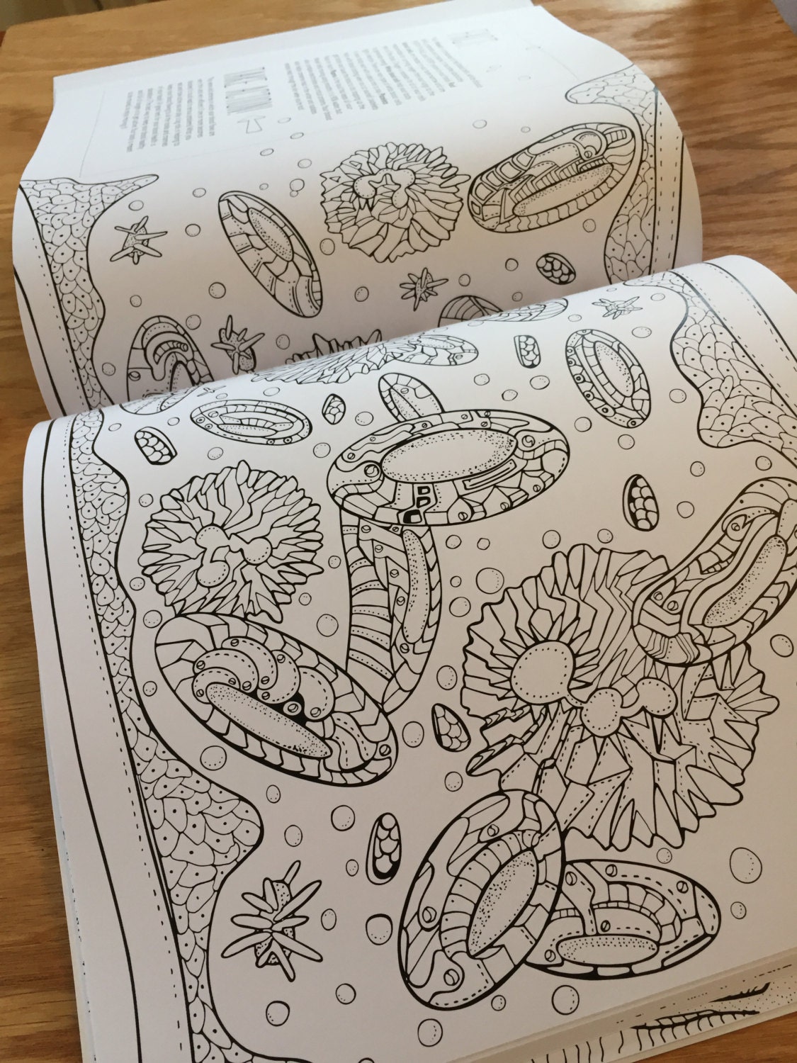 Show Me Your Guts An artistic & anatomical coloring book for