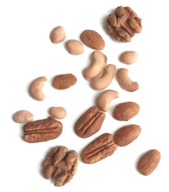 Mixed Nuts Fake Food Cake Decorating or Prop Walnuts Almonds