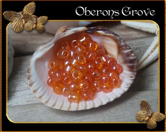 20g orange transparent Rocailles 3,6 x4mm