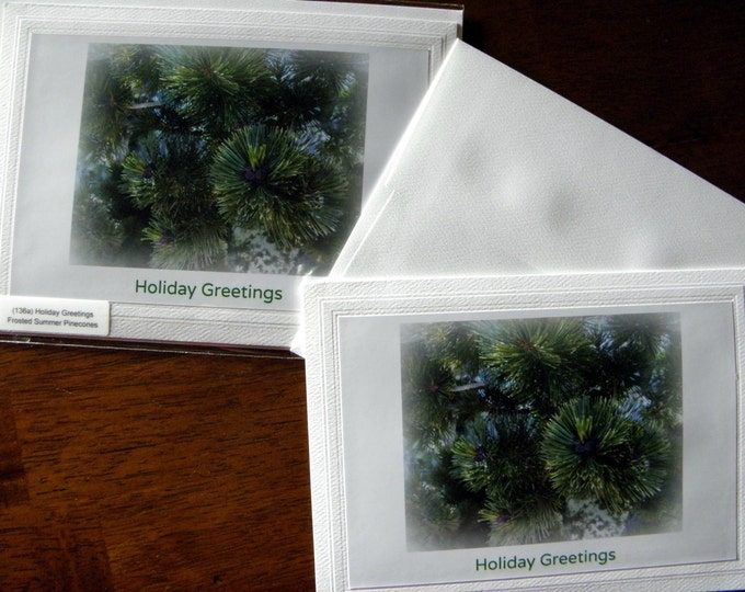 HOLIDAY GREETINGS Photo Stationary, Green Pine Boughs, Green Text, Classic Embossed Card Stock, Coordinating Envelope