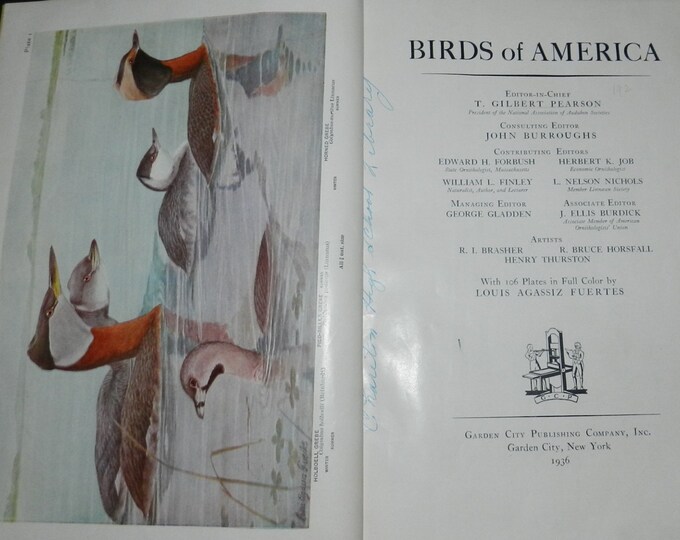 Birds of America Hardcover – 1936