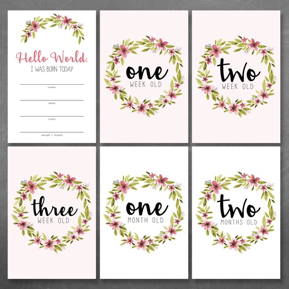 Baby Month Card Template floral baby milestone cards baby month cards baby photo Baby Month Card Template floral baby milestone cards baby month cards baby photo