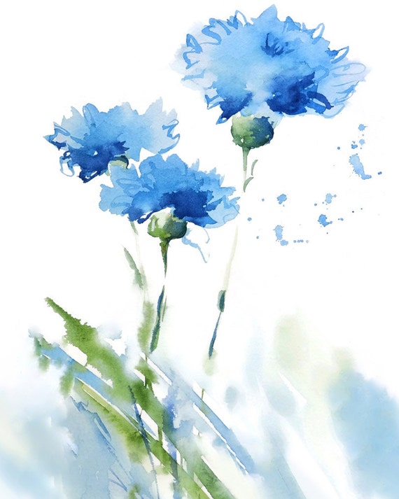 Cornflower Art Print Watercolor PaintingBlue by NancyKnightArt